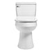 Brondell Swash Thinline T44 Bidet Toilet Seat with Remote Control