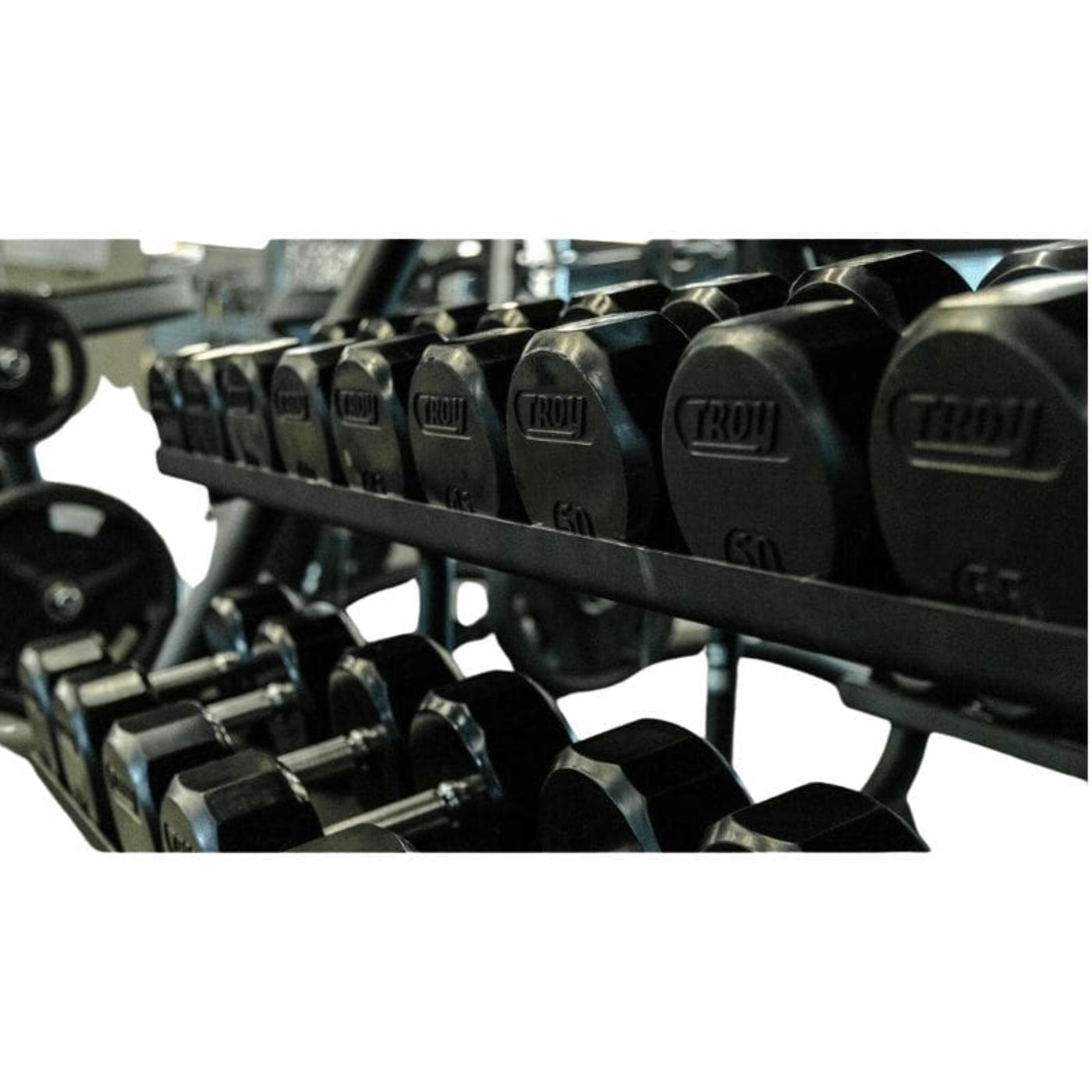 TROY TSD-R  12-Sided Rubber Encased Dumbbells - (2) TSD-003R