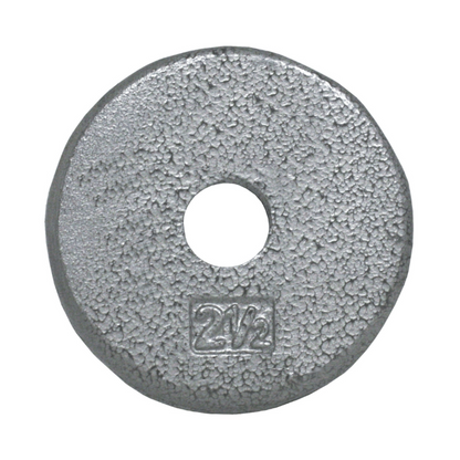 USA Sports by Troy 1" Gray Weight Plate -R-001