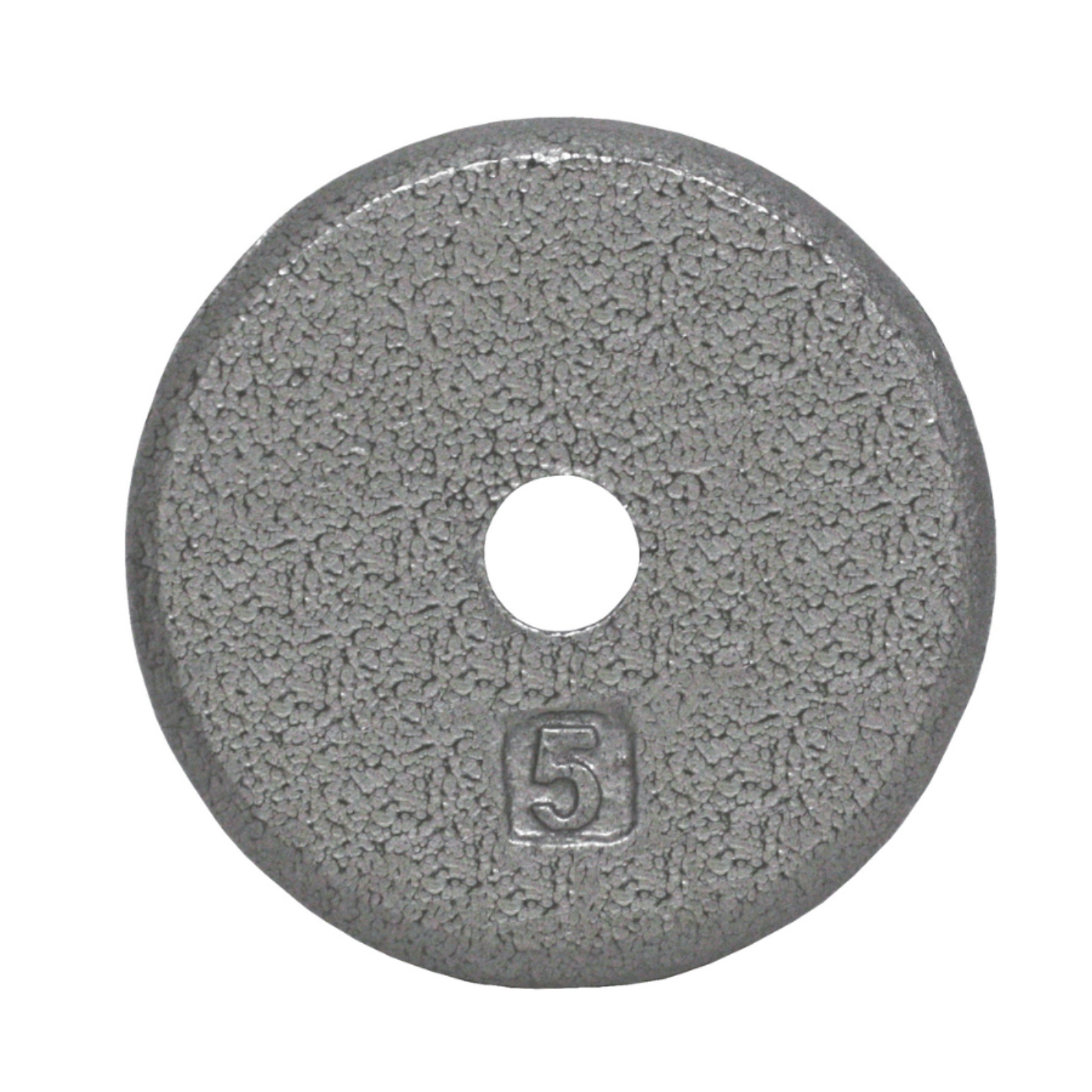 USA Sports by Troy 1" Gray Weight Plate -R-001