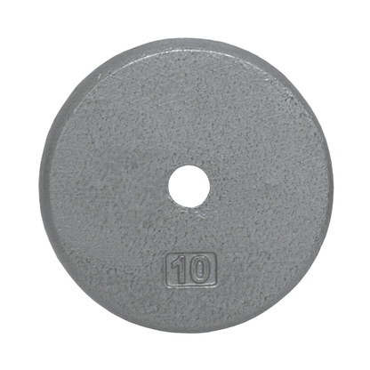 USA Sports by Troy 1" Gray Weight Plate -R-001
