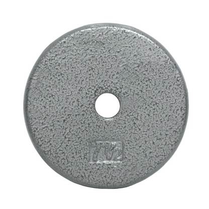 USA Sports by Troy 1" Gray Weight Plate -R-001