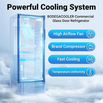 Bodega cooler Upright Display refrigerator Commercial Fridge 10.2 Cu.Ft.
