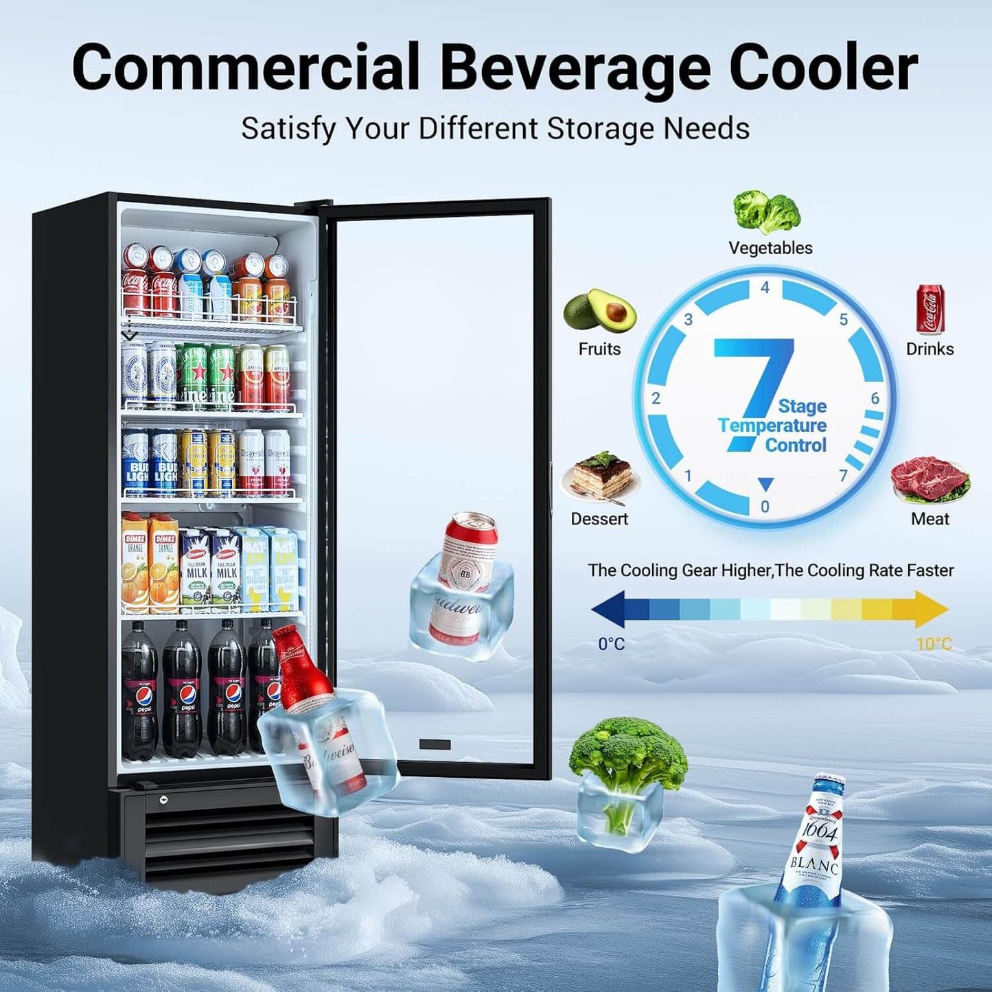 Bodega cooler Upright Display refrigerator Commercial Fridge 10.2 Cu.Ft.
