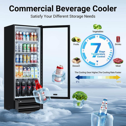 Bodega cooler Upright Display refrigerator Commercial Fridge 10.2 Cu.Ft.