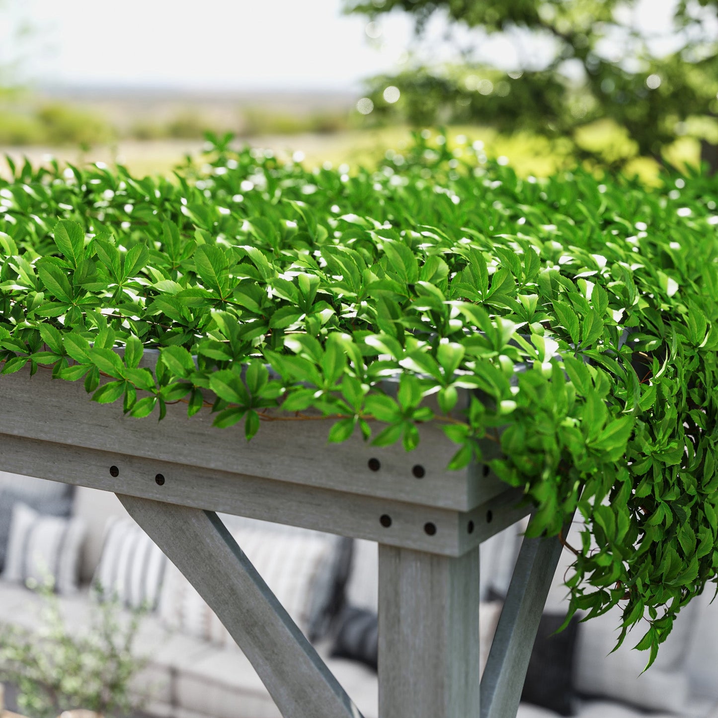 12' x 20' Wooden Pergola with Grape Vine Design & Concrete Anchors, Gray