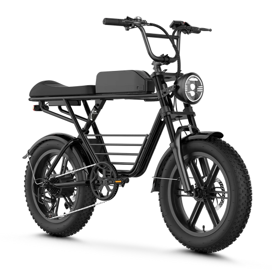 AipasV2 Moped - V1-BK-PRO