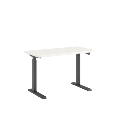 Upside Sit-to-Stand Desk - BP01676