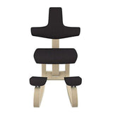 Positive Posture Varier Thatsit Balans - THATSIT+BACK-1250STE999NAT