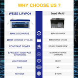 WEIZE [BF&CM] 24V 200Ah 5120Wh LiFePO4 Lithium Battery - BAC-0097