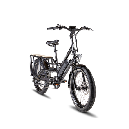 Rad Power RadWagon 4 Electric Cargo Bike, Top Speed 20mph - 102-00022