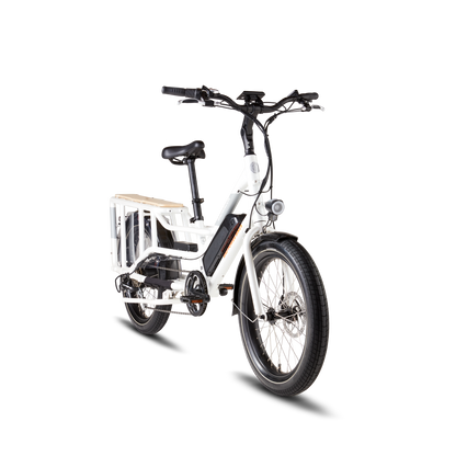 Rad Power RadWagon 4 Electric Cargo Bike, Top Speed 20mph - 102-00022