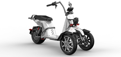 4000w Three Wheeled Motorcyle  E-Trike 50Ah Li-Battery SoverSky T100