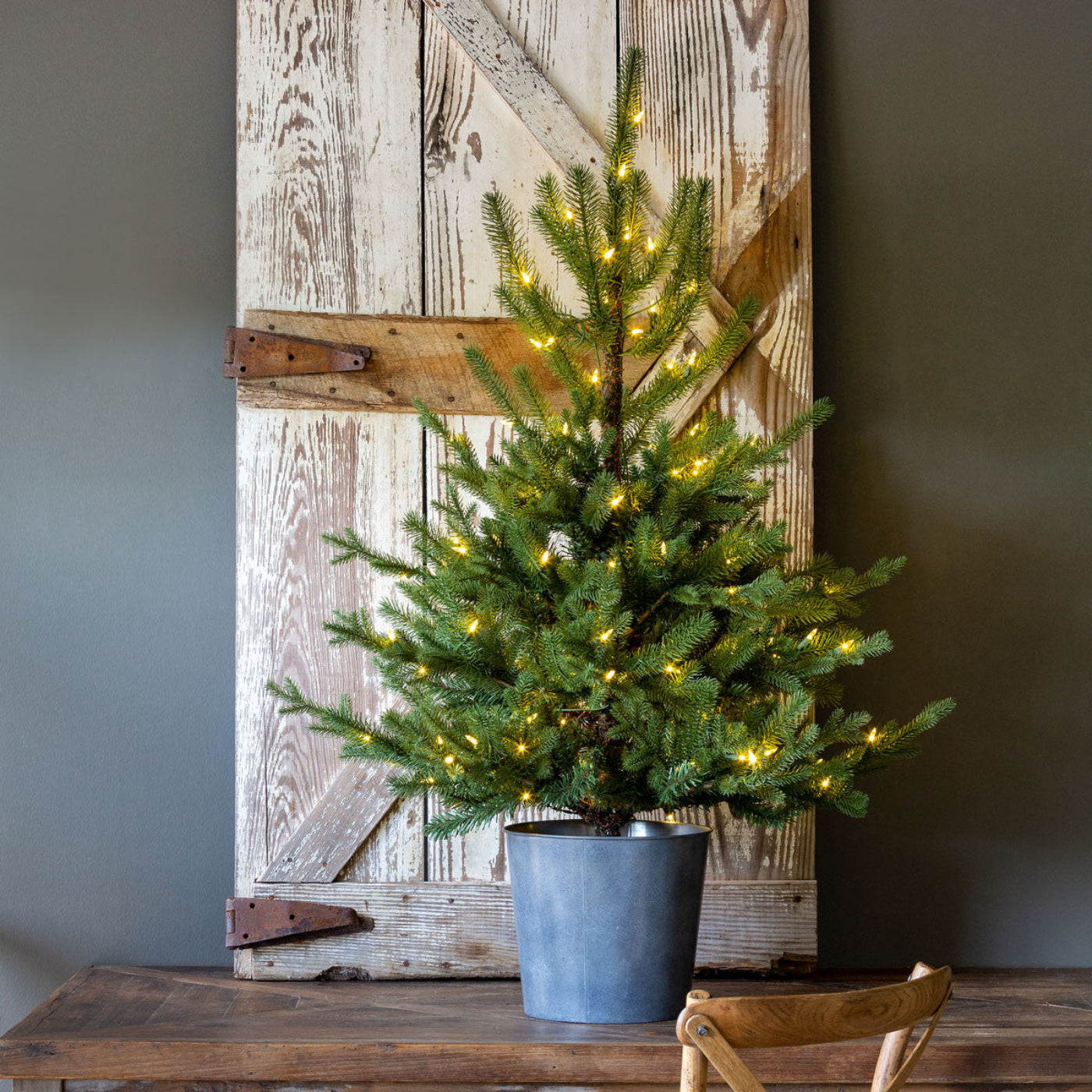 Park Hill Collection Tree Lot Potted Porch Fir Pine Tree, Lighted - XPQ01057