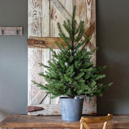 Park Hill Collection Tree Lot Potted Porch Fir Pine Tree, Lighted - XPQ01057