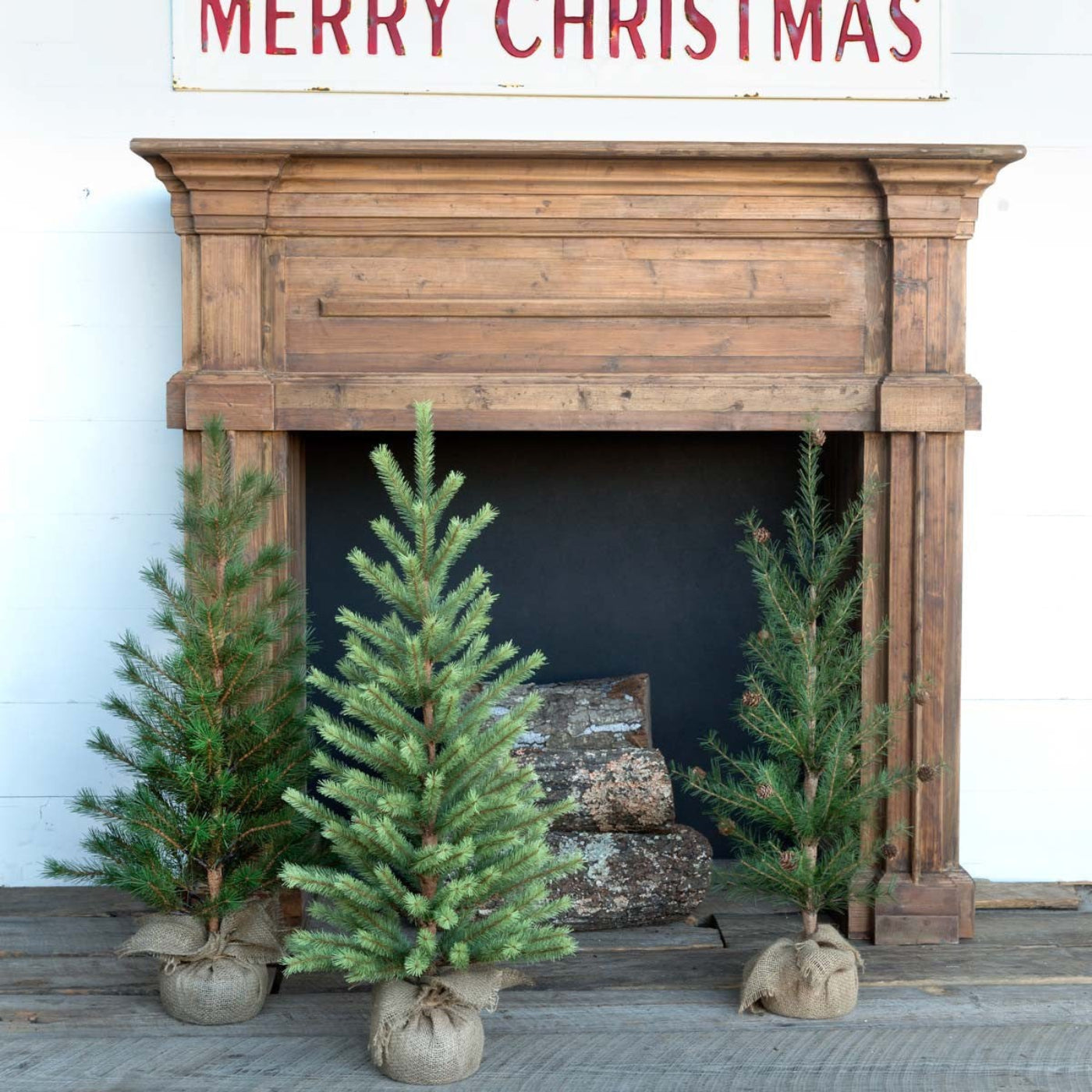 Park Hill Collection Tree Lot Second-Year Faux Seedling Pine Trees, Set of 3, Assorted Styles - XPQ80211