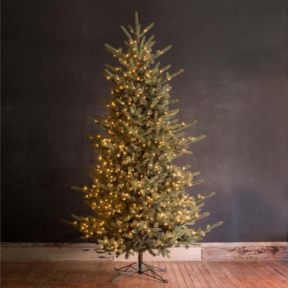 Park Hill Collection Tree Lot 10' Park Hill Blue Spruce LED Lights - XPQ82162