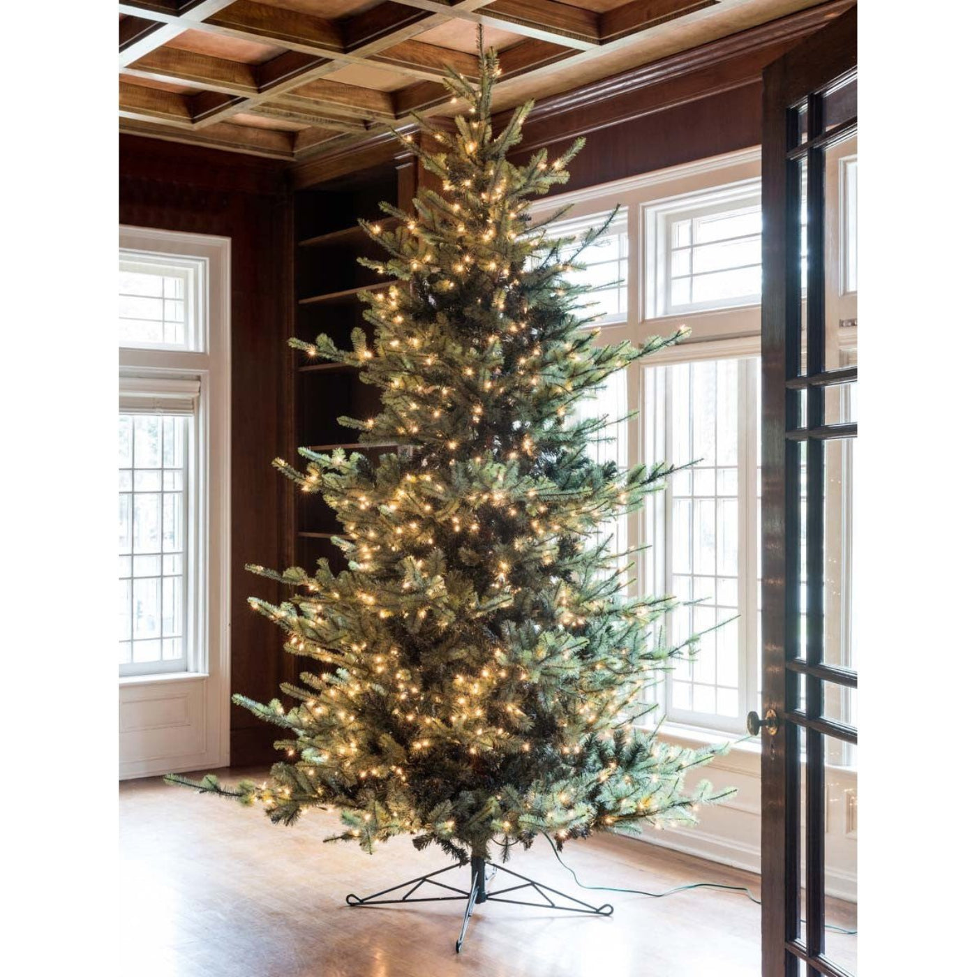 Park Hill Collection Tree Lot 10' Park Hill Blue Spruce LED Lights - XPQ82162