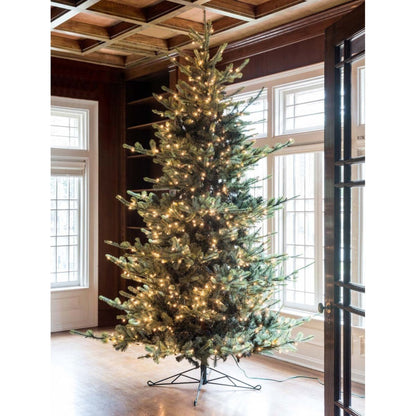 Park Hill Collection Tree Lot 10' Park Hill Blue Spruce LED Lights - XPQ82162