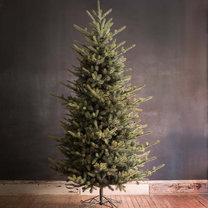 Park Hill Collection Tree Lot 10' Park Hill Blue Spruce LED Lights - XPQ82162