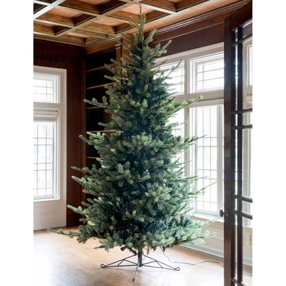 Park Hill Collection Tree Lot 10' Park Hill Blue Spruce LED Lights - XPQ82162