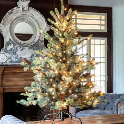 Park Hill Collection Tree Lot 4.5' Park Hill Blue Spruce Pine Tree LED Lights - XPQ82163