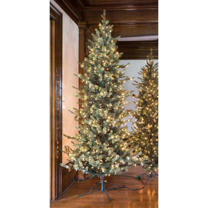 Park Hill Collection Tree Lot 9' Park Hill Slim Line Blue Spruce LED Lights - XPQ82166