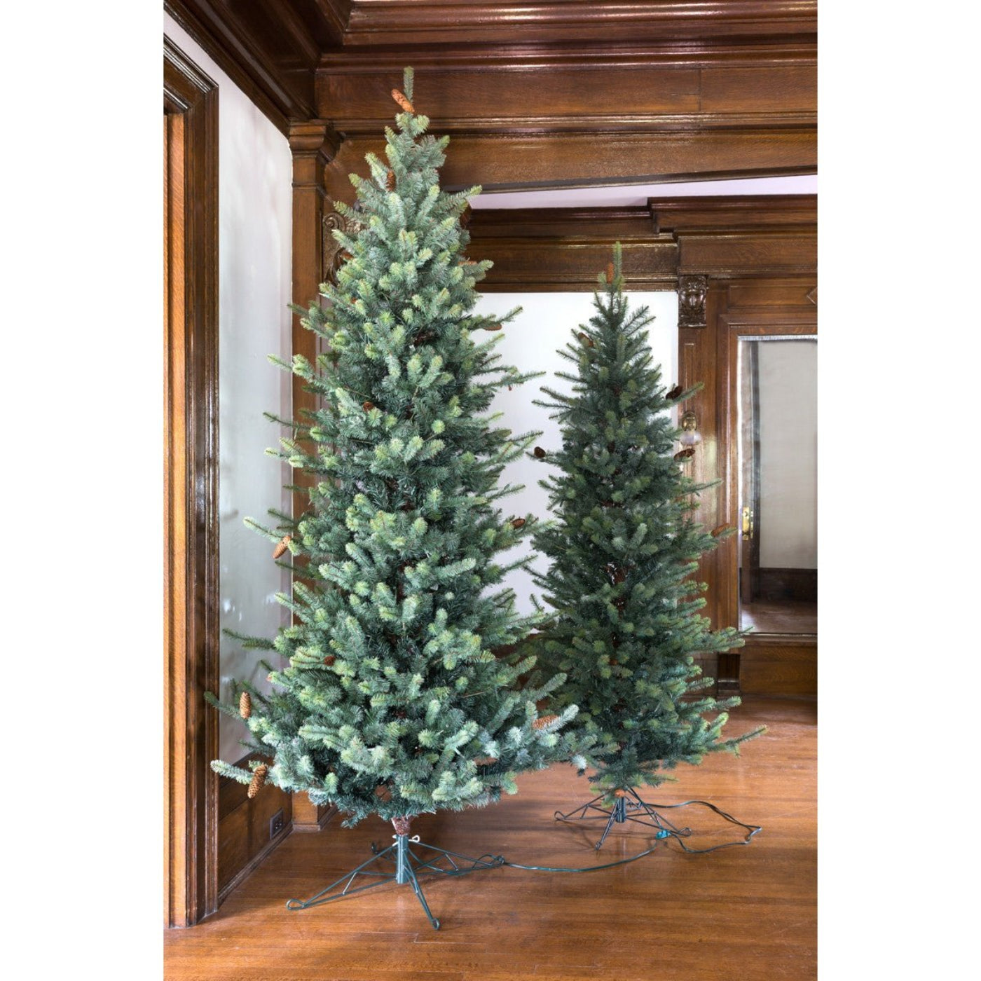 Park Hill Collection Tree Lot 9' Park Hill Slim Line Blue Spruce LED Lights - XPQ82166