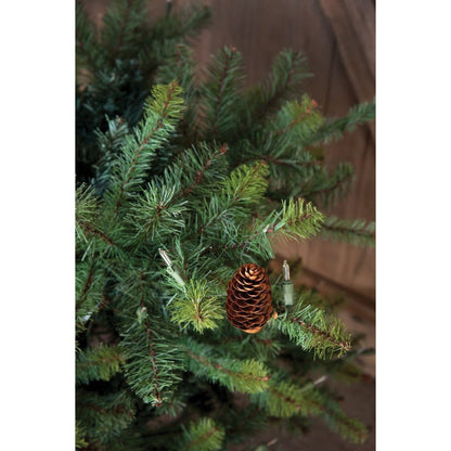 Park Hill Collection Tree Lot 9' Park Hill Slim Line Blue Spruce LED Lights - XPQ82166