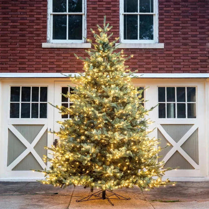 Park Hill Collection Tree Lot 12' Park Hill Blue Spruce Christmas Pine Tree LED Lights - XPQ82167