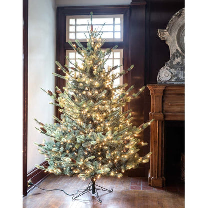 Park Hill Collection Tree Lot 7.5' Park Hill Blue Spruce LED Lights - XPQ82168