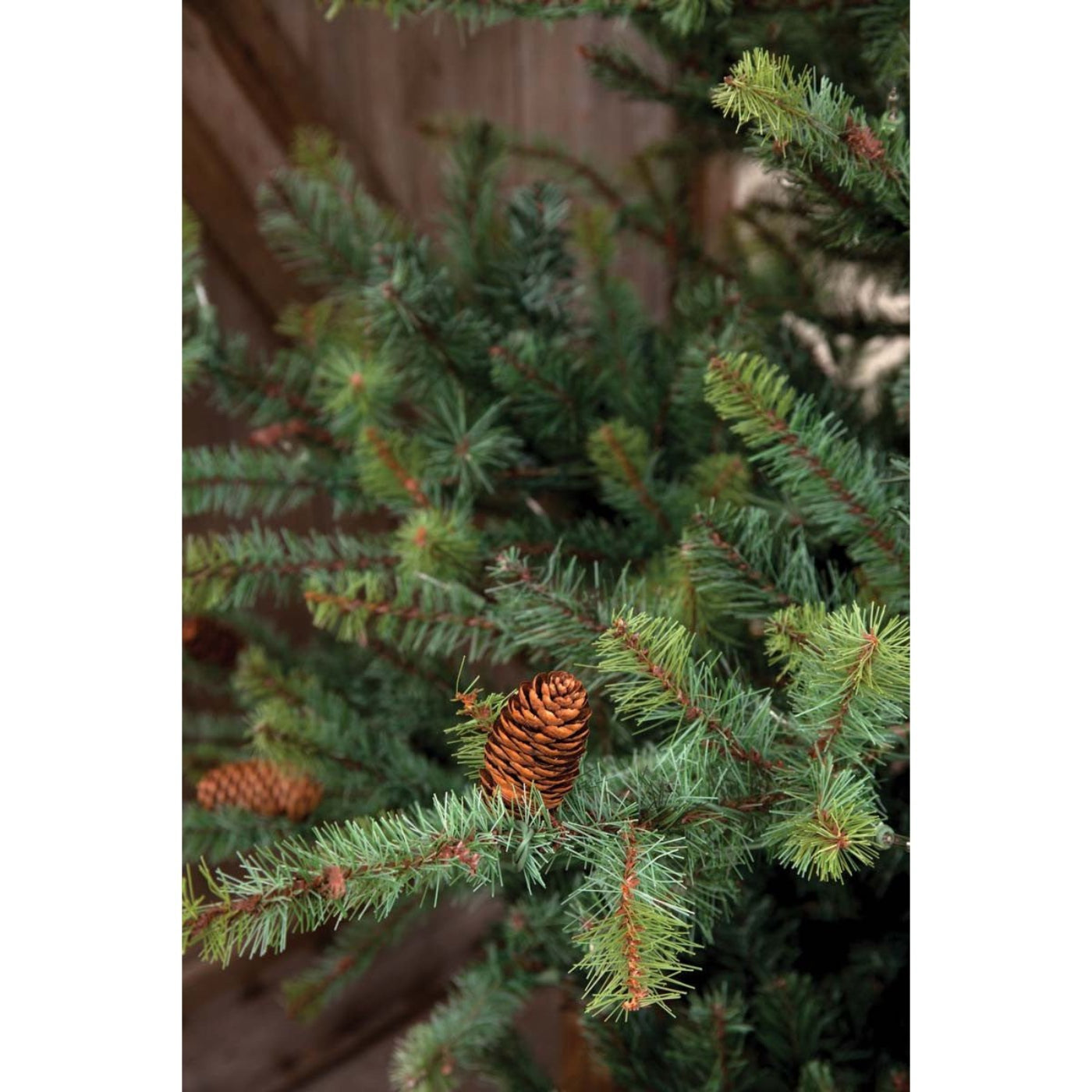 Park Hill Collection Tree Lot 7.5' Park Hill Blue Spruce LED Lights - XPQ82168