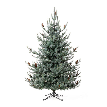 Park Hill Collection Tree Lot 7.5' Park Hill Blue Spruce LED Clear/Multi-Color Option - XPQ82169