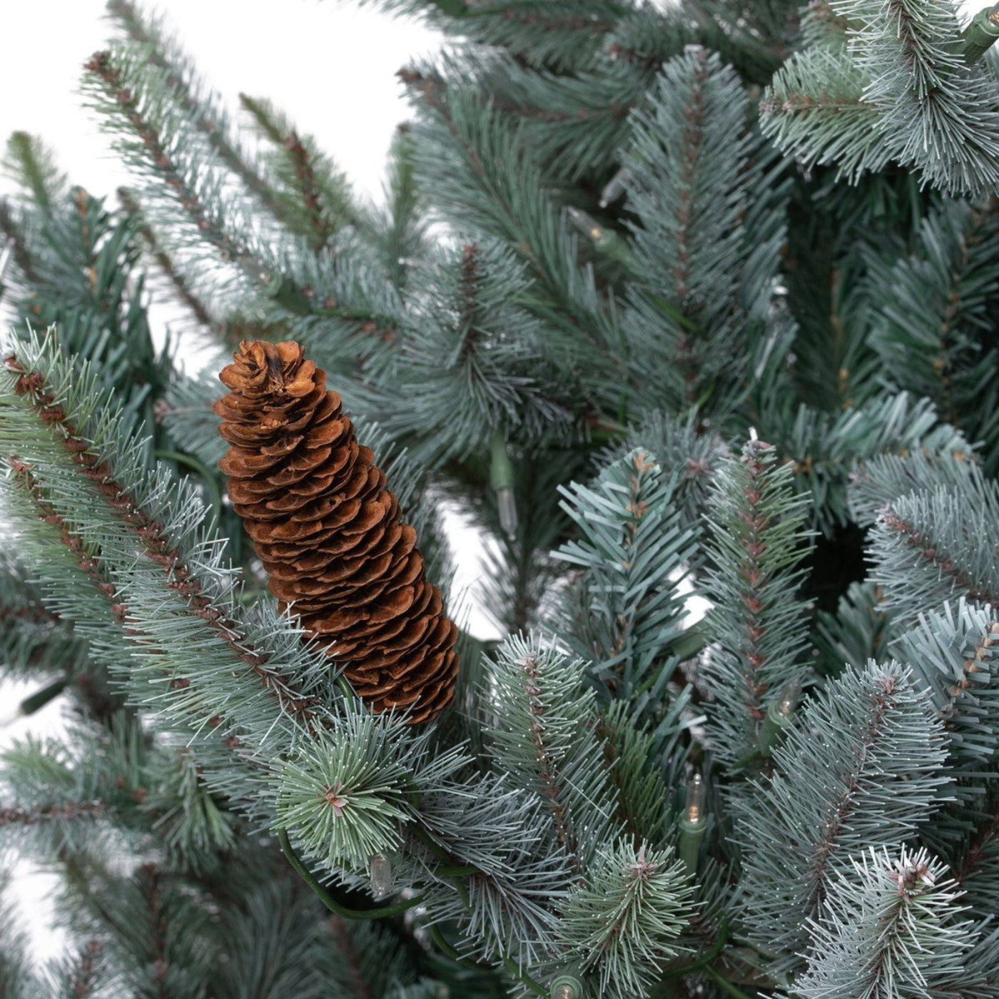 Park Hill Collection Tree Lot 7.5' Park Hill Blue Spruce LED Clear/Multi-Color Option - XPQ82169