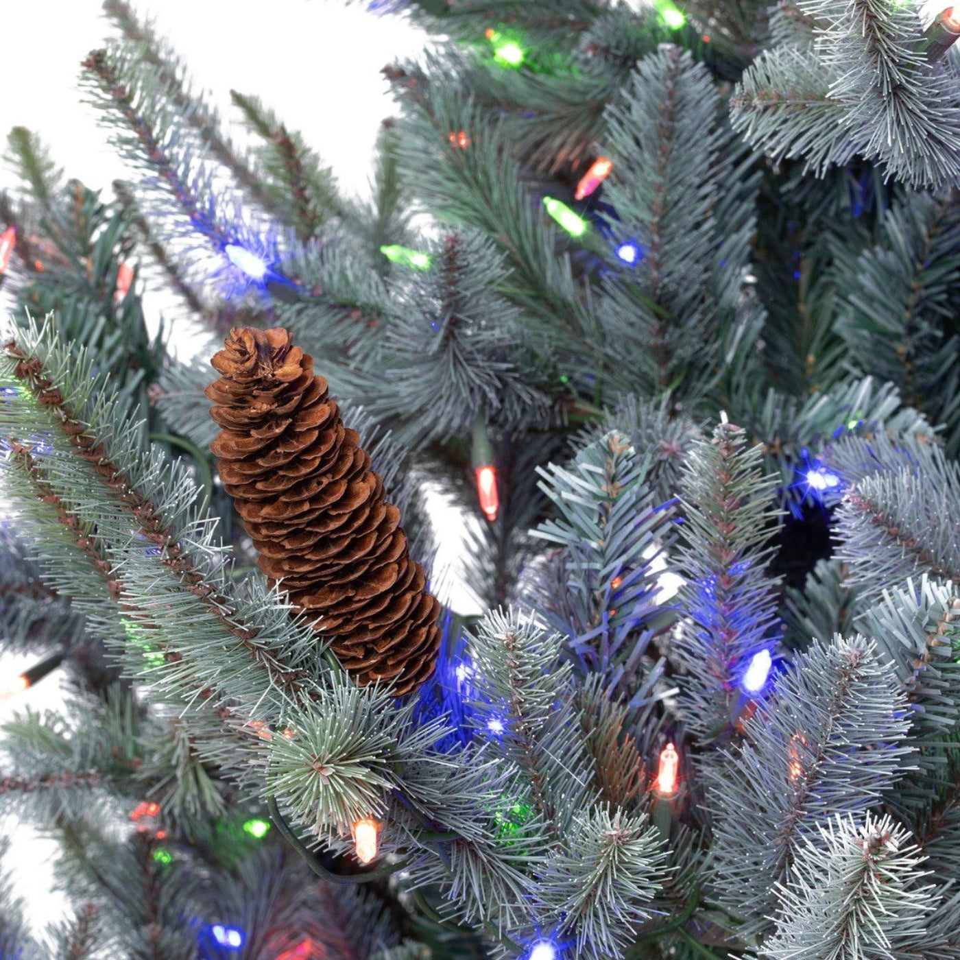 Park Hill Collection Tree Lot 7.5' Park Hill Blue Spruce LED Clear/Multi-Color Option - XPQ82169