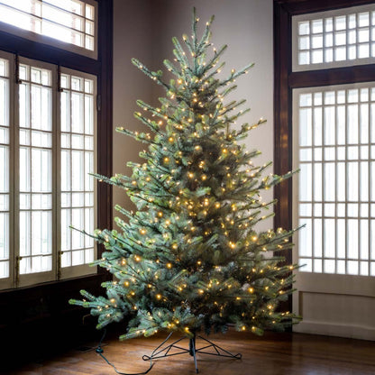 Park Hill Collection Tree Lot 7.5' Park Hill Blue Spruce LED Clear/Multi-Color Option - XPQ82169