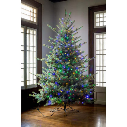 Park Hill Collection Tree Lot 7.5' Park Hill Blue Spruce LED Clear/Multi-Color Option - XPQ82169