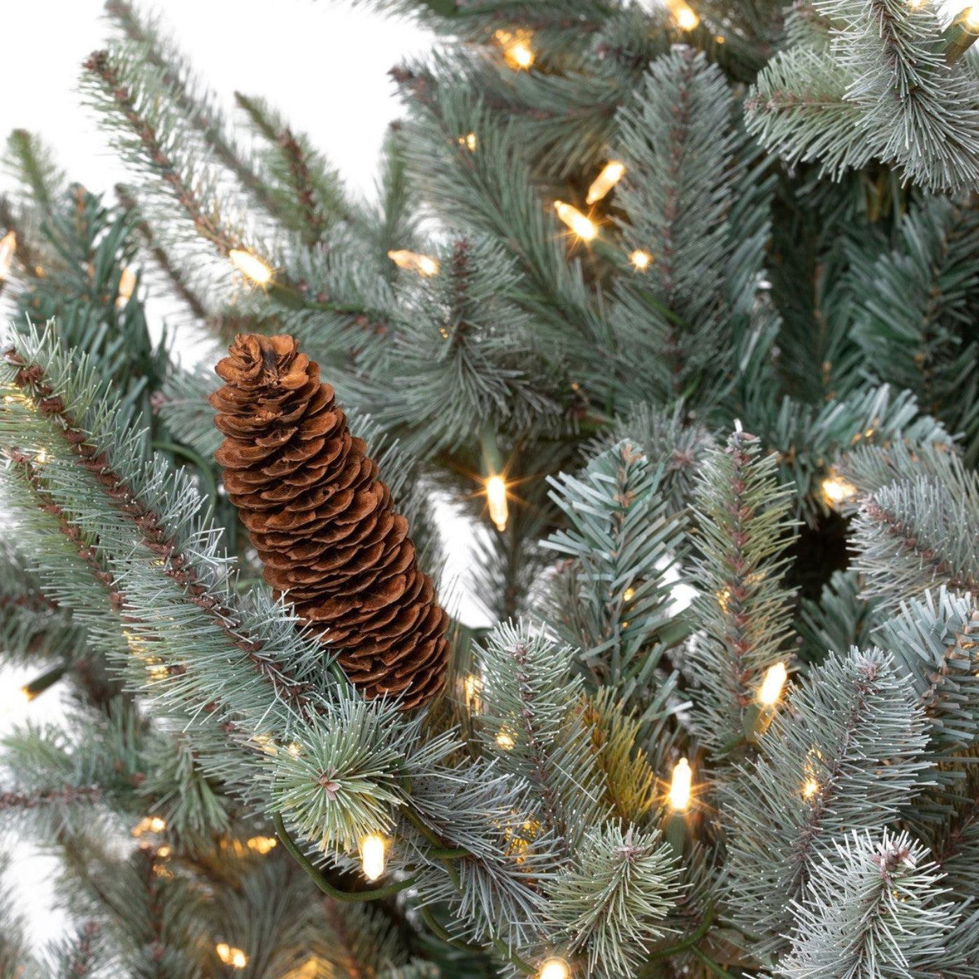 Park Hill Collection Tree Lot 7.5' Park Hill Slim Line Blue Spruce LED Lights - XPQ82170