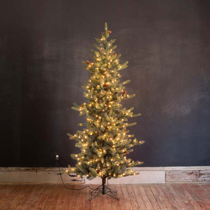 Park Hill Collection Tree Lot 7.5' Park Hill Slim Line Blue Spruce LED Lights - XPQ82170