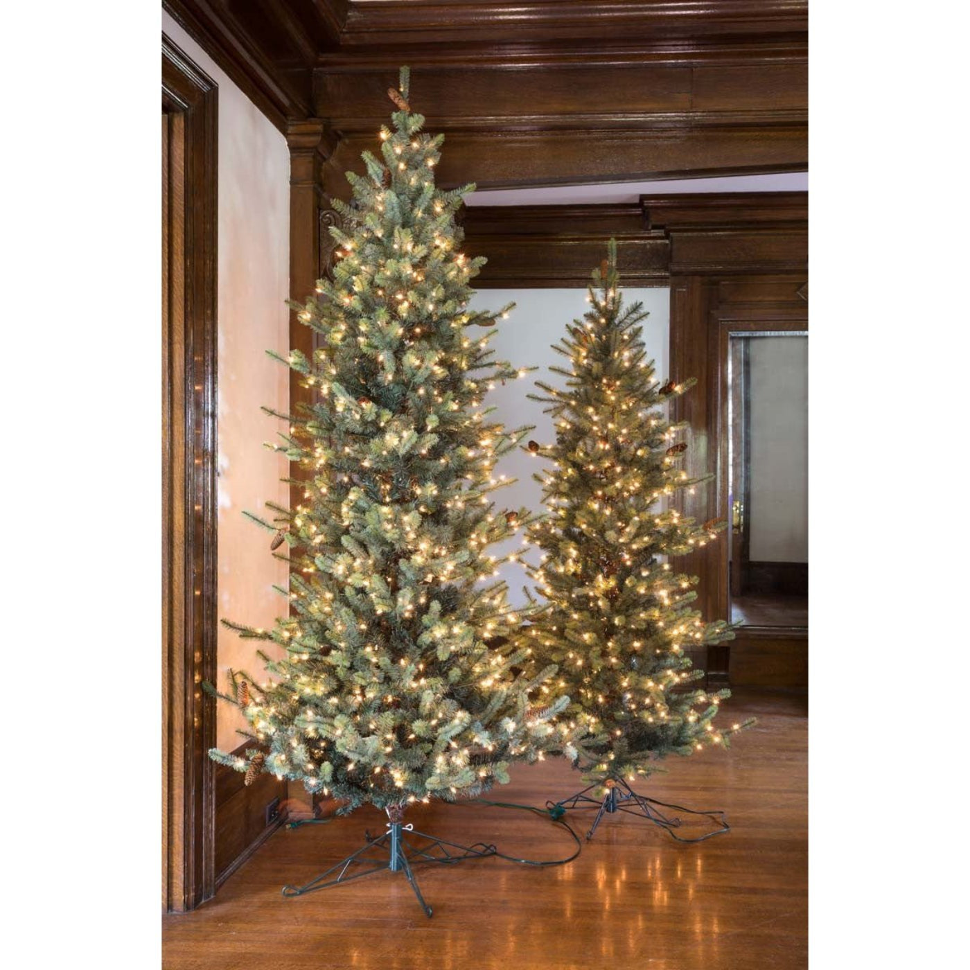 Park Hill Collection Tree Lot 7.5' Park Hill Slim Line Blue Spruce LED Lights - XPQ82170