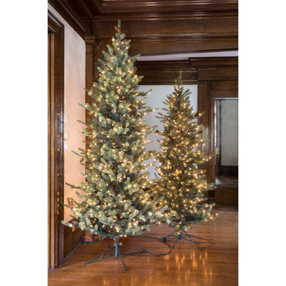 Park Hill Collection Tree Lot 7.5' Park Hill Slim Line Blue Spruce LED Lights - XPQ82170