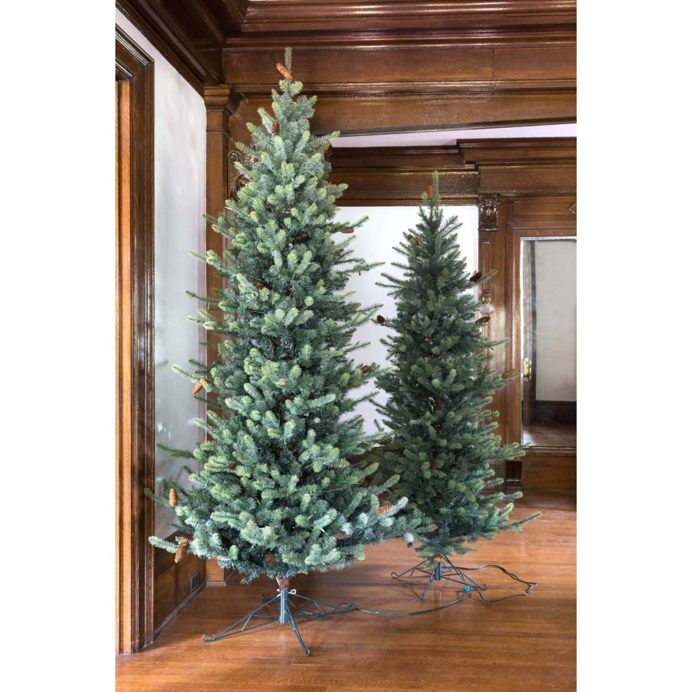 Park Hill Collection Tree Lot 7.5' Park Hill Slim Line Blue Spruce LED Lights - XPQ82170