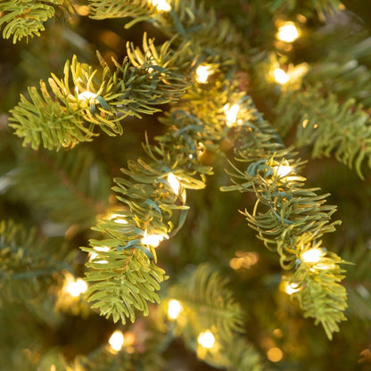 Park Hill Collection Tree Lot 5' Great Northern Spruce Pine Tree with Micro LED Lights - XPQ90662