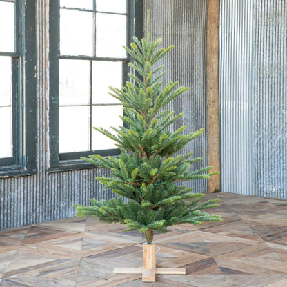 Park Hill Collection Tree Lot 5' Great Northern Spruce Pine Tree with Micro LED Lights - XPQ90662