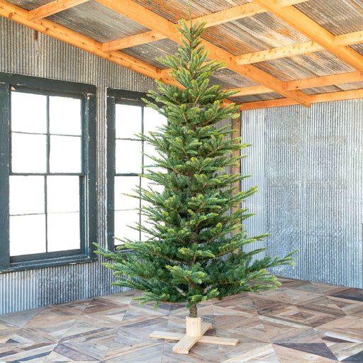 Lovecup 9' Great Northern Spruce Tree with Micro LED Lights and Stand L664 - 40019911147618