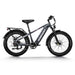 Himiway D5 Zebra | Premium All-terrain Electric Fat Bike