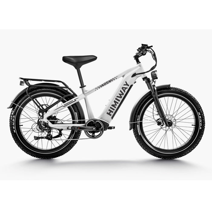 Himiway D5 Zebra | Premium All-terrain Electric Fat Bike