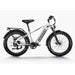 Himiway D5 Zebra | Premium All-terrain Electric Fat Bike