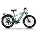 Himiway D5 Zebra | Premium All-terrain Electric Fat Bike