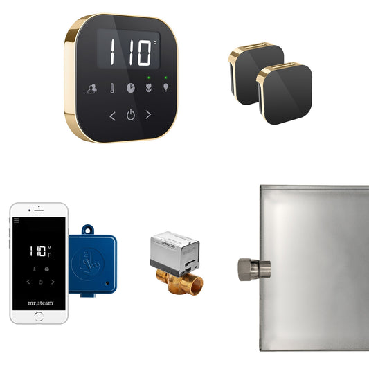 Mr Steam AirButler Max Package Black Polished Brass - ABUTLERXB-PB